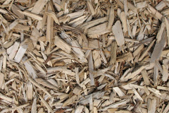 biomass boilers Camustiel